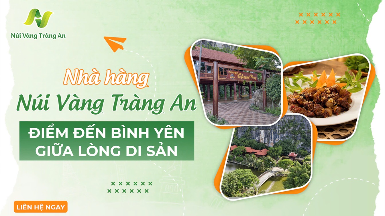 nha-hang-nui-vang-trang-an-diem-den-binh-yen-giua-long-di-san-1